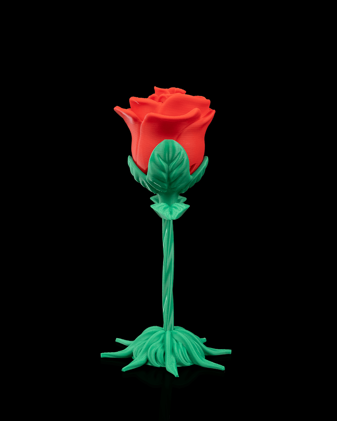 Endless Bloom Rose