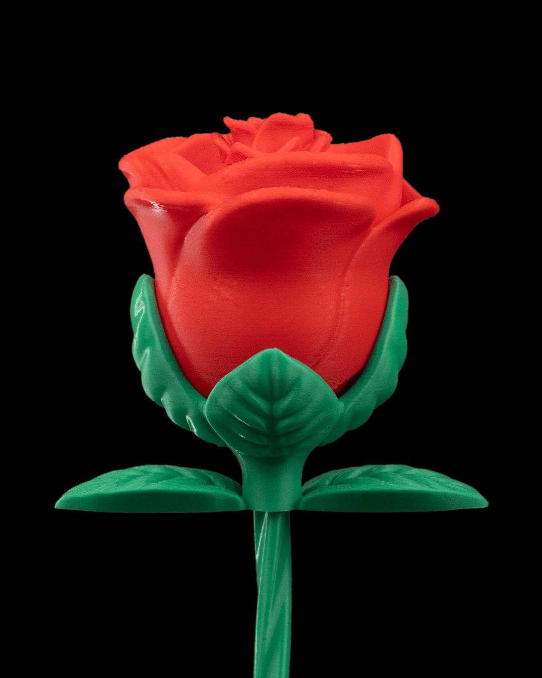 Endless Bloom Rose