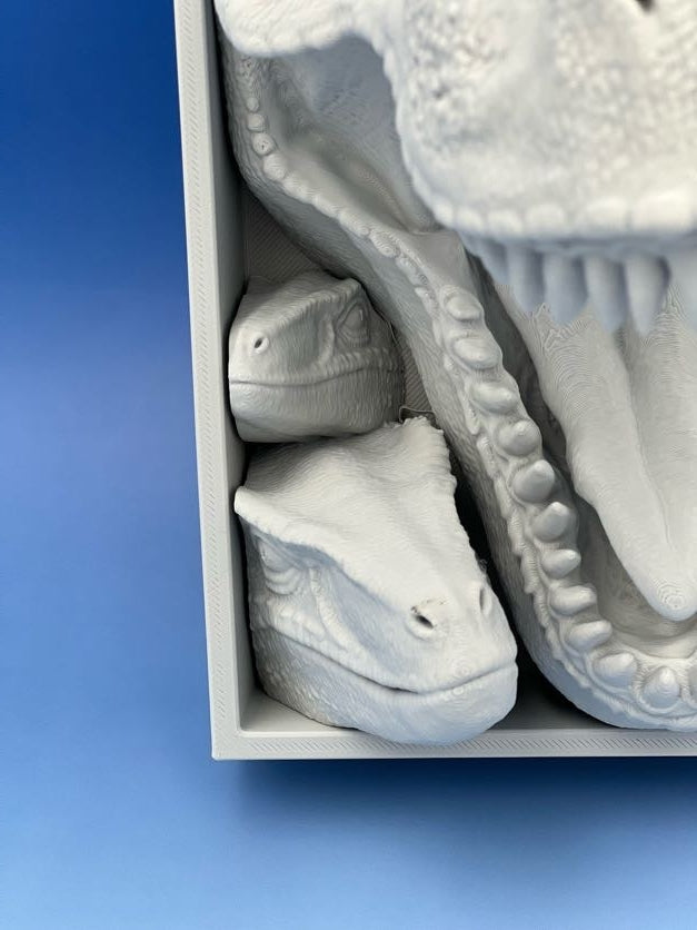Tyrannosaurus Trio Wall Nook