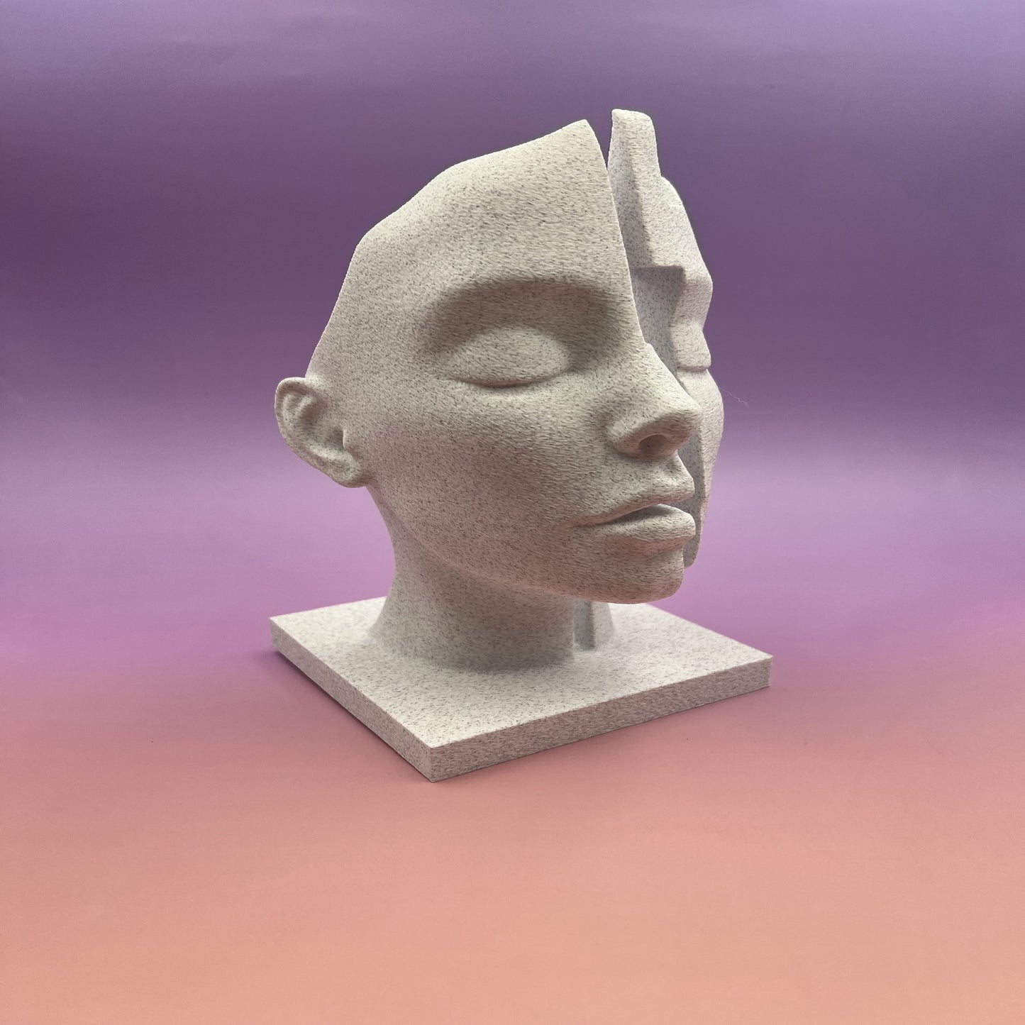 Mind Gap — Conceptual Split-Face Bust
