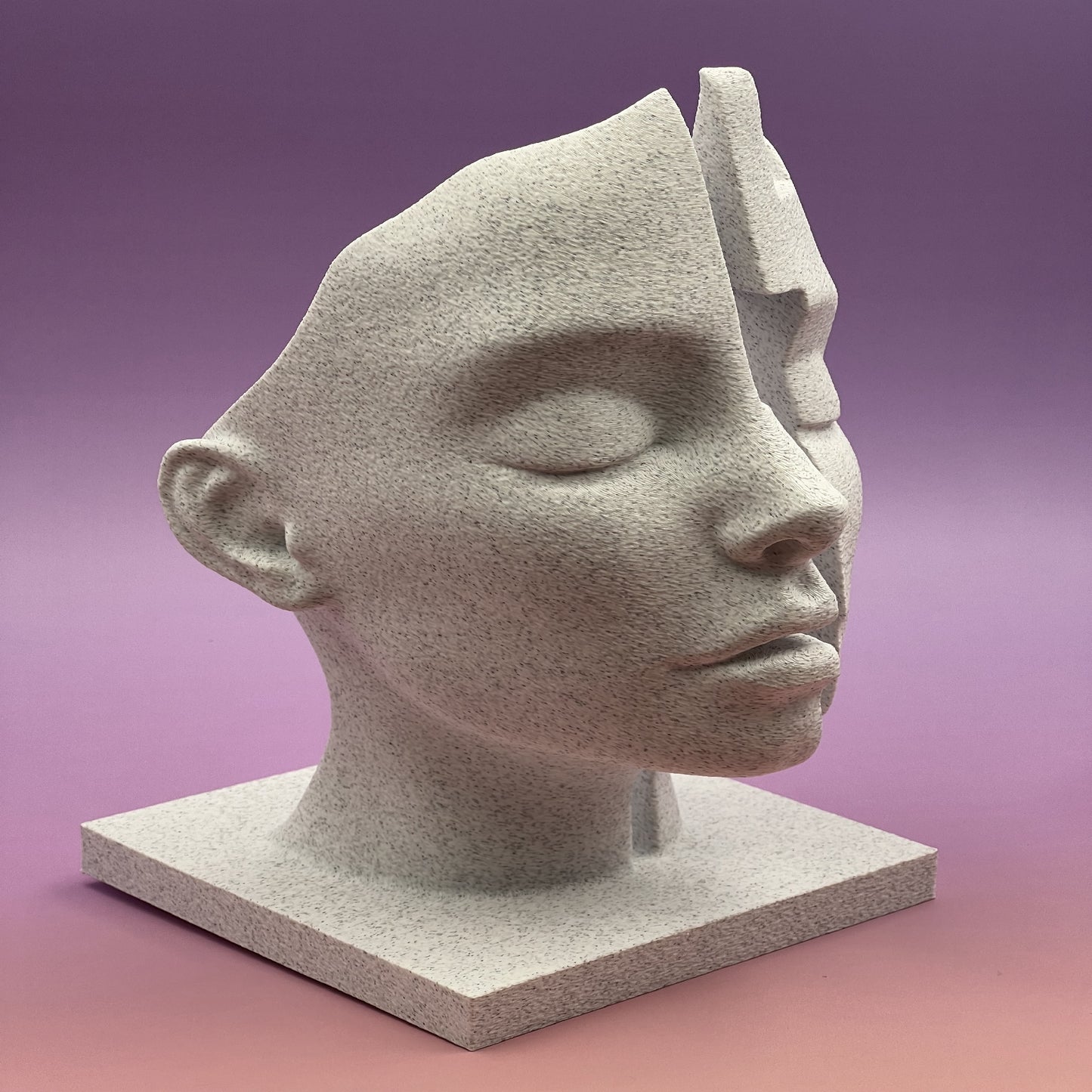 Mind Gap — Conceptual Split-Face Bust