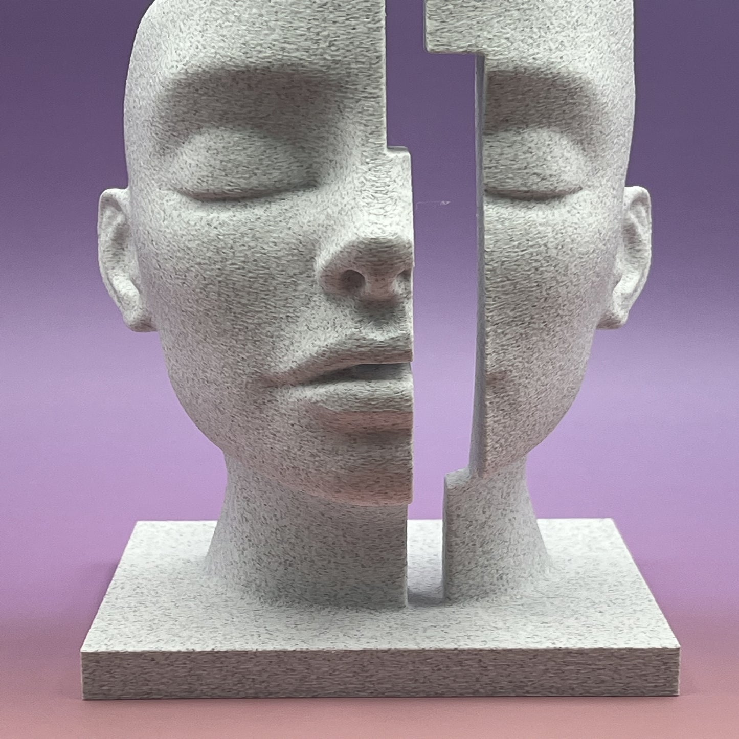 Mind Gap — Conceptual Split-Face Bust