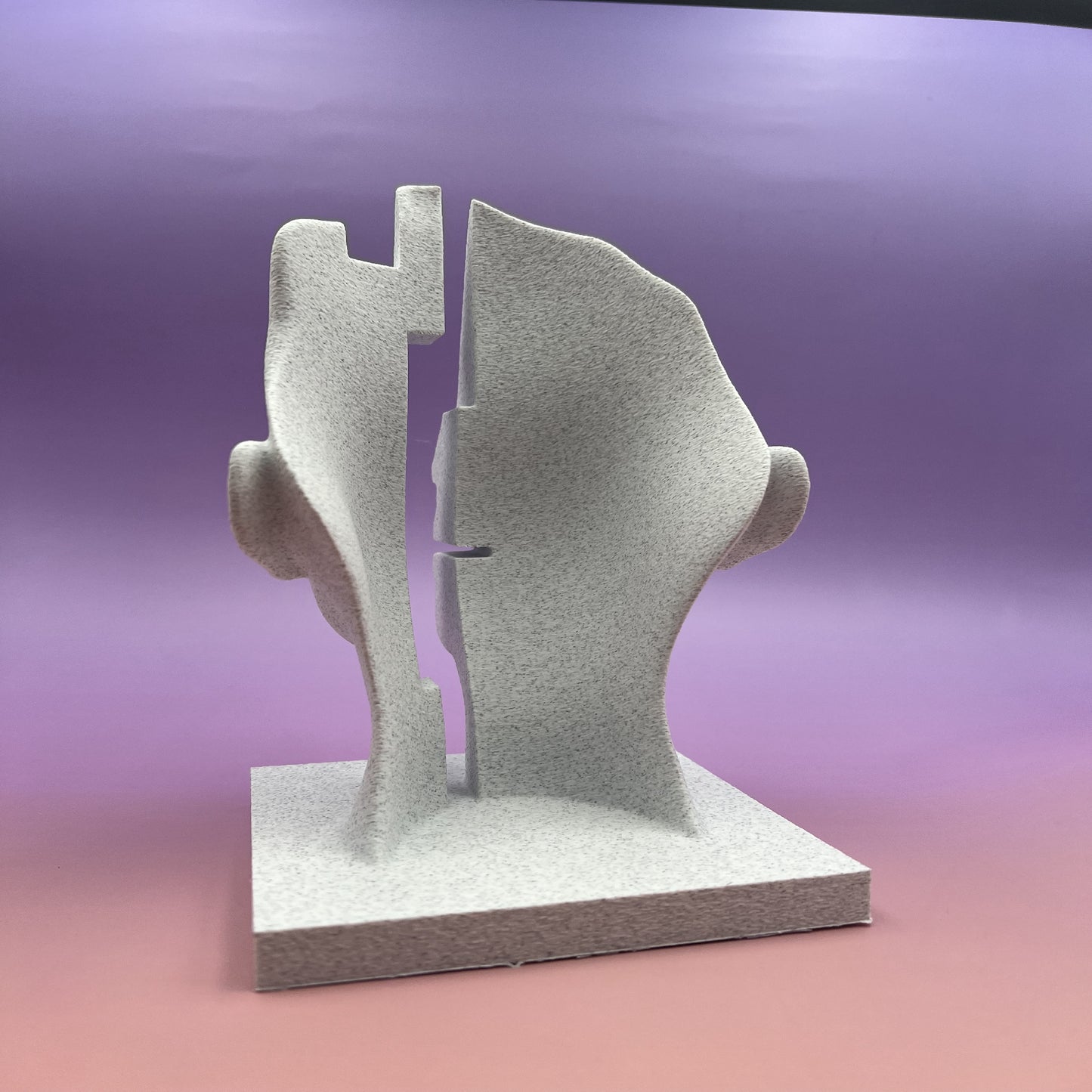 Mind Gap — Conceptual Split-Face Bust