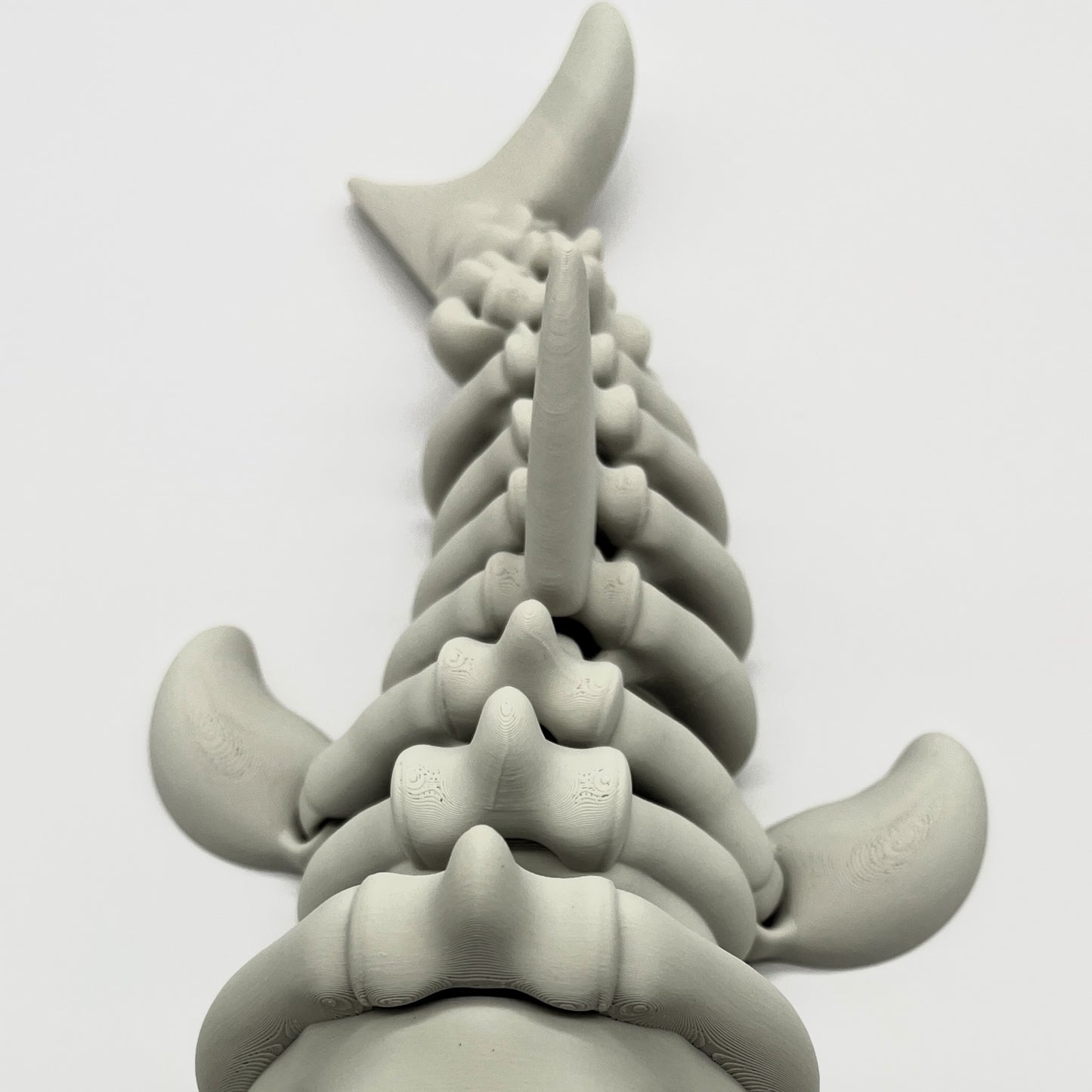 Flexi Skeletal Megalodon – XXL (13.8" Length)