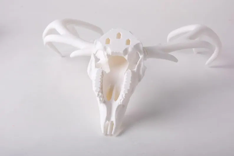 Deer Skull Wall Lamp – Gothic Antler Sconce, Dark Woodland Decor, Handcrafted Sculptural Lighting